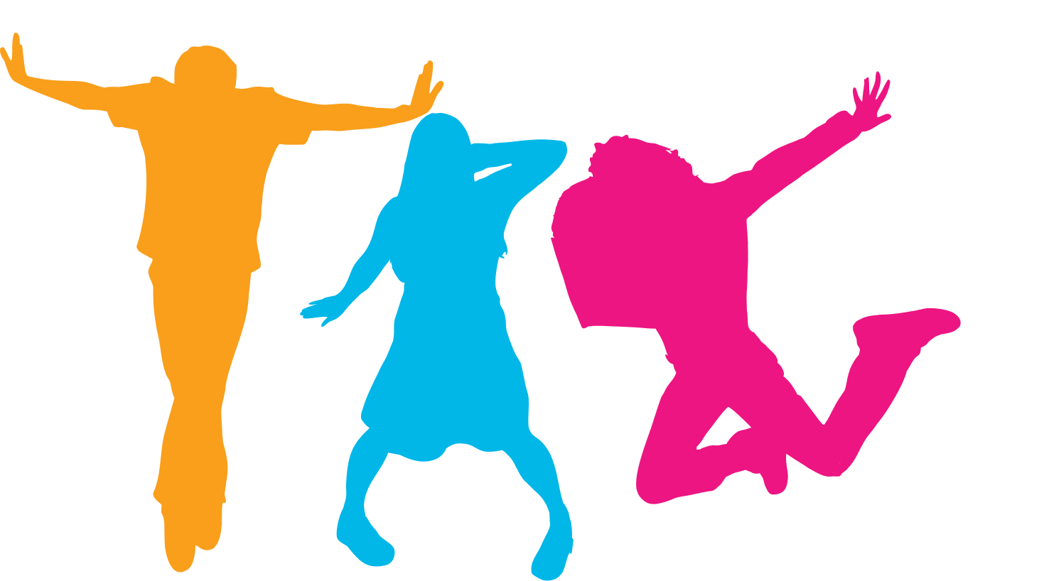 Meet the team
